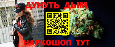 крисы Ставрополь