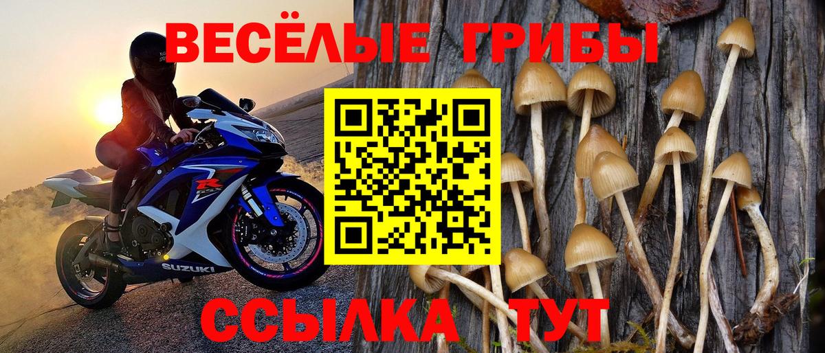 Псилоцибиновые грибы Psilocybe Гусь-Хрустальный