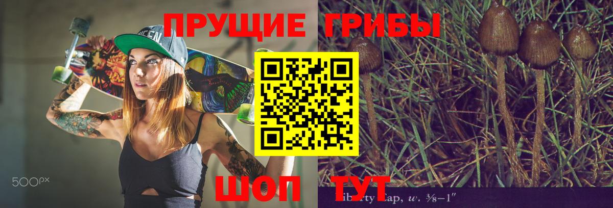 Псилоцибиновые грибы мицелий  Вход с VPN  Гусь-Хрустальный 